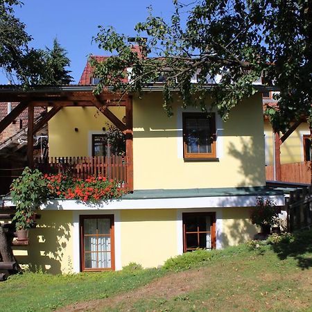 Appartement Penzion Gomelska à Horní Stropnice Extérieur photo
